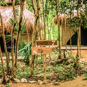 Natura Glamping 3*, Akumal Mexique